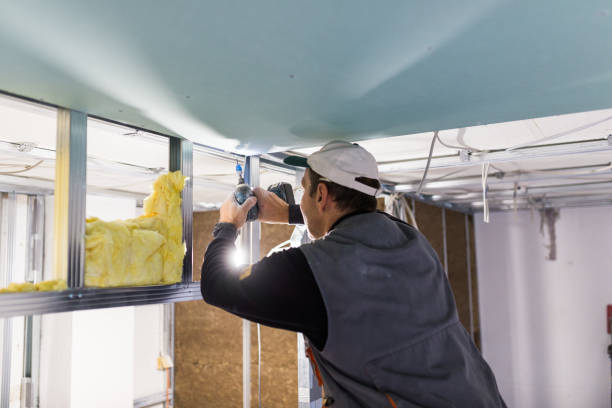 Insulation Repair Services in Cedar Glen Lakes, NJ