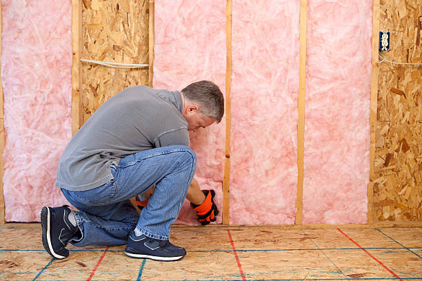 Best Professional Insulation Contractor  in Cedar Glen Lakes, NJ
